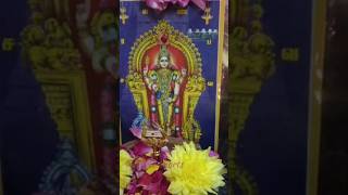 Maha Kandhan Kiruthikai Valipadutiruchendurmurugankiruthikaijoinusfypforyouomsaravanabhavayt [upl. by Nevak]