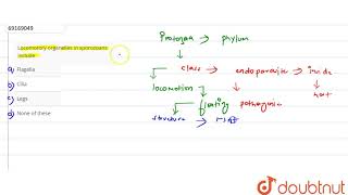 Locomotory organelles in sporozoans include [upl. by Ellekim267]