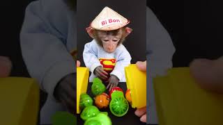 Baby Monkey What Happens When You Open Lemon Toys monkeybonbon cute babymonkeybonbon animalht [upl. by Weirick]