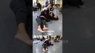 BJJ Kimura Trap To Armbar 🥋 [upl. by Holly]