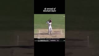 41 second of Mitchell Starc bowling action [upl. by Aydin]