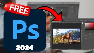 How To Download Adobe Photoshop 2024 [upl. by Arlee]