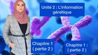 Unité 2 l’information génétique et son mécanisme d’expressionchapitre 1 partie 2 [upl. by Pelligrini]