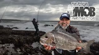 Musselcracker Brusher Fishing in the Southern Cape [upl. by Giuseppe]