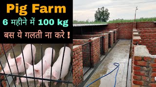 Pig farming in india🐖सूअर पालन🐖How to make pig farm [upl. by Jorey171]