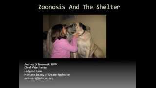 Zoonoses  conference recording [upl. by Tarton]