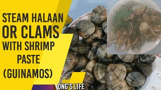 Steam Halaan or Clams With Shrimp Paste Guinamos [upl. by Indys]