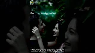 Enkaagavae Pirandhaan Ivan Fullscreen WhatsApp Status❣️Yaaro Ivan song WhatsApp status ✨ Tamil Efx 🤩 [upl. by Ziagos]