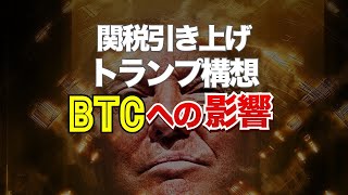 関税引き上げるトランプの構想はビットコインにどう影響する [upl. by Song]