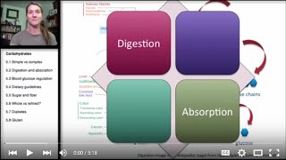 52 Carbohydrates Digestion and Absorption [upl. by Duky]