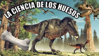 😍 PALEONTOLOGÍA 💗 ¿Qué es y qué estudia 🦕🦖🐊¿Cómo trabaja un paleontólogo [upl. by Zingale]