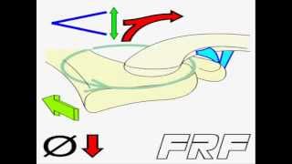 5Movimiento acromioclavicularAcromioclavicular motion [upl. by Lalise]