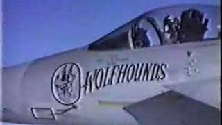 F15 Wolfhounds 32nd Tactical Fighter Squadron Soesterberg [upl. by Snoddy]