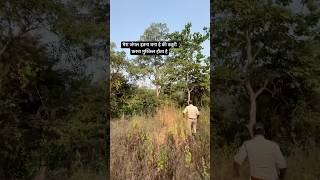 Duty Of Forest Guard forest guard jungle vlog viral daily ytshorts shorts [upl. by Ert497]