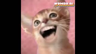 Numa Cat Sings Numa Numa Old Wombo Ai Version [upl. by Sherry613]