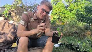 Pflanzen Unboxing 01 I Meine Traumpflanzen ziehen in meinen Garten [upl. by Kruter]