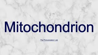 Mitochondrion Pronunciation How to Pronounce Mitochondrion  Are You Saying It Right [upl. by Kinata]