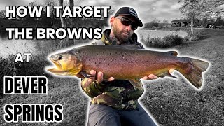 The ‘ELUSIVE’ Brown Trout At Dever Springs [upl. by Woodman]