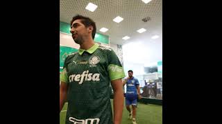 4 ANOS DE ABEL FERREIRA avantpalestra palmeiras [upl. by Ploch]