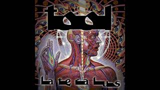 Tool  Lateralus 2001 Instrumental Full Album [upl. by Cornelle]