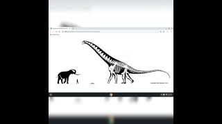 Palaeoloxodon Namadicus And Alamosaurus Size Comparison [upl. by Lleznol34]