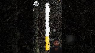 सिगरेट पीने वाले वीडियो देखें😱😱plants sceincefacts spacefact ytshorts scienceexperimentfacts [upl. by Ayhtnic]