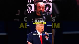 Rogan on Trump Calling Out Hillary During Debate [upl. by Noffets]