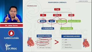 INSUFICIENCIA CARDÍACA CONGESTIVA Repaso ICC [upl. by Cullen]