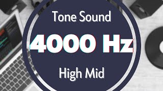 4000 Hz Frequency Sound Tone Audio Signal Sine Waveform High MID [upl. by Kristen]