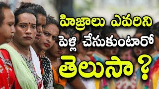 హిజ్రాలు ఎవరిని పెళ్లి చేసుకుంటారో తెలుసా   Hijras Marriage  Telugu Facts [upl. by Tai]