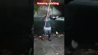 Amazing catching fishing catchfishtechnique bigfish angler fishcatcher hugefish tutorial [upl. by Aimekahs]