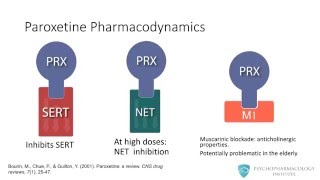 Paroxetine  Psychopharmacology [upl. by Haseena127]