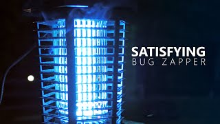 Bug Zapper Owning Bugs Like a Boss  GOOTOP Bug Zapper [upl. by Hairu]