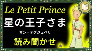 【眠くなる声】読み聞かせ『星の王子さま』全編 【睡眠導入】 [upl. by Nrubyar]