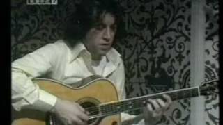 Bert jansch  moonshine [upl. by Alius957]