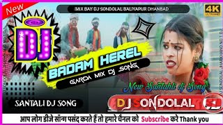 Badam Herel  Badam Badam  New Santahli Dj Song 2024  Dj Sondolal Hard Bess ✓✓ [upl. by Nylcsoj310]