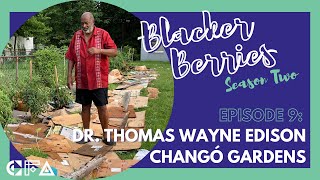 S2E9 Blacker Berries A Conversation with Dr Thomas Wayne Edison [upl. by Samled]