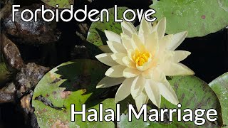 Forbidden Love  Halal Marriage [upl. by Eenar]