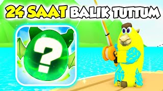 24 SAAT ARALIKSIZ BALIK TUTMAK İNANILMAZ  PETS GO [upl. by Ycniuqed]