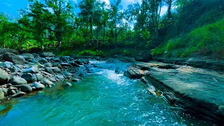 Relaxing River Water Sounds 8 hours of calming Noise for sleep and meditation [upl. by Arais]