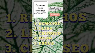 🤔 ¿Eres capaz de encontrar cinco sinónimos de quotbonitoquot lenguaespañola sinonimos juegos español [upl. by Gilemette]