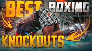 BEST BOXING KNOCKOUTS OF 2024  PART 7  BOXING FIGHT HIGHLIGHTS KO HD [upl. by Yeslaehc]