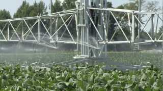 Irrigation Techniques For Soybeans [upl. by Dee]