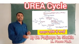 Urea Cycle  In simple and easy way [upl. by Sudbury255]