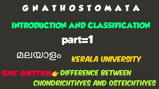 BSC ZOOLOGYMODULE2GNATHOSTOMATAPISCESINTRODUCTION AND CLASSIFICATIONPART1kerala university [upl. by Ecaidnac]