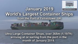 Worlds Largest Container Ships January 2019 [upl. by Irbmac]