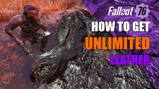 FALLOUT 76  UNLIMITED LEATHER FARMING FOR LOW AND HIGH LEVELS [upl. by Hollenbeck309]