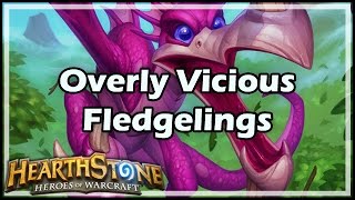 Hearthstone Overly Vicious Fledgelings [upl. by Lalage]