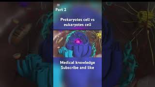 Prokaryotes cell vs eukaryotes cell biologyclass12 biology animation [upl. by Rehpotsihrc]