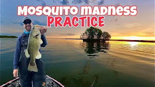 Mosquito MADNESS XIX Practice [upl. by Eduardo]